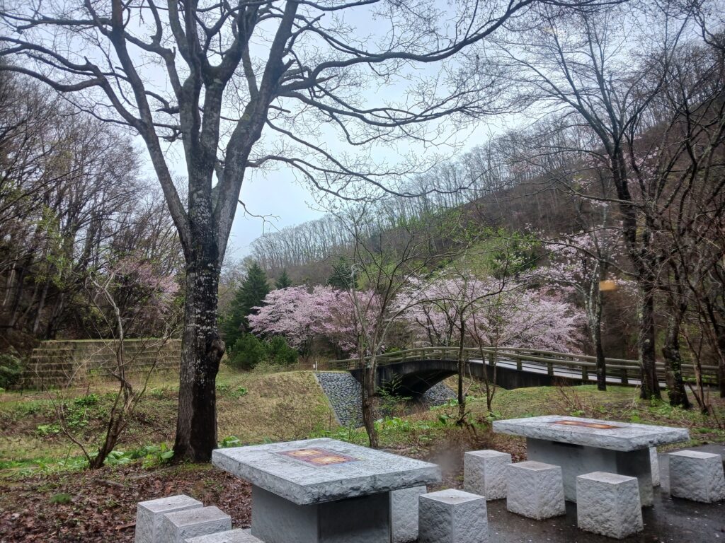 いわゆる桜流しというやつですね。これもまたオツなもので。